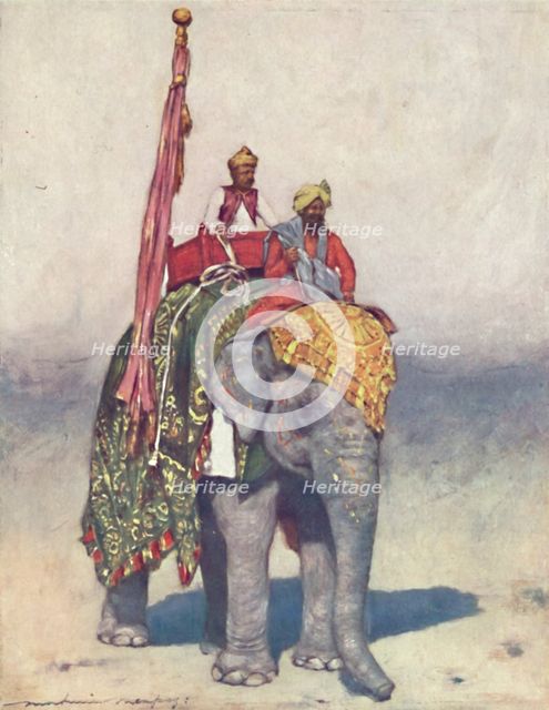 'An Elephant from Jaipur', 1903. Artist: Mortimer L Menpes.