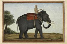 An elephant keeper riding his elephant, 1825. Creator: Anon