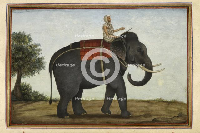 An elephant keeper riding his elephant, 1825. Creator: Anon.