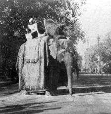 An elephant outside the railway station at Delhi, India, 1900s.Artist: H Hands & Son
