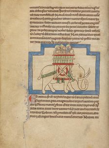 An Elephant; Northumberland Bestiary, about 1250-1260. Creator: Unknown