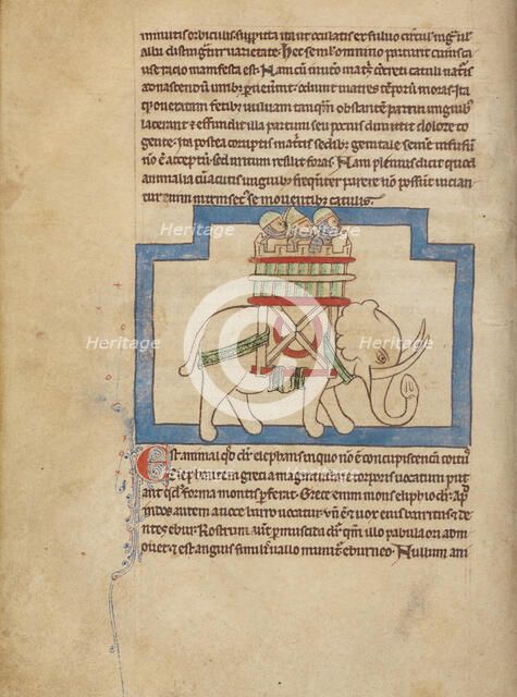 An Elephant; Northumberland Bestiary, about 1250-1260. Creator: Unknown.