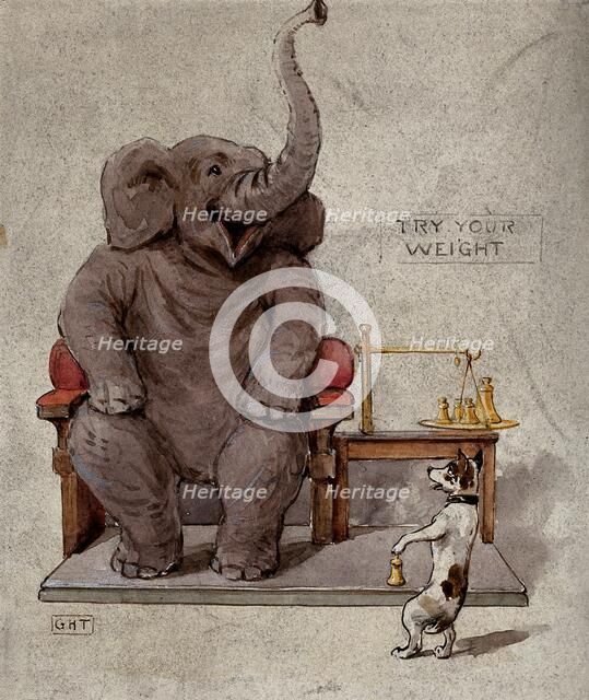 An elephant seated in an armchair is being weighed by a small dog, 1900. Creator: George Hope Tait.