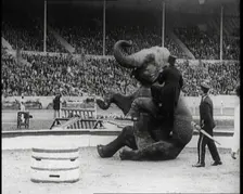 An Elephant Sitting on its Hind Legs as a Man Climbs up It, 1924. Creator: British Pathe Ltd
