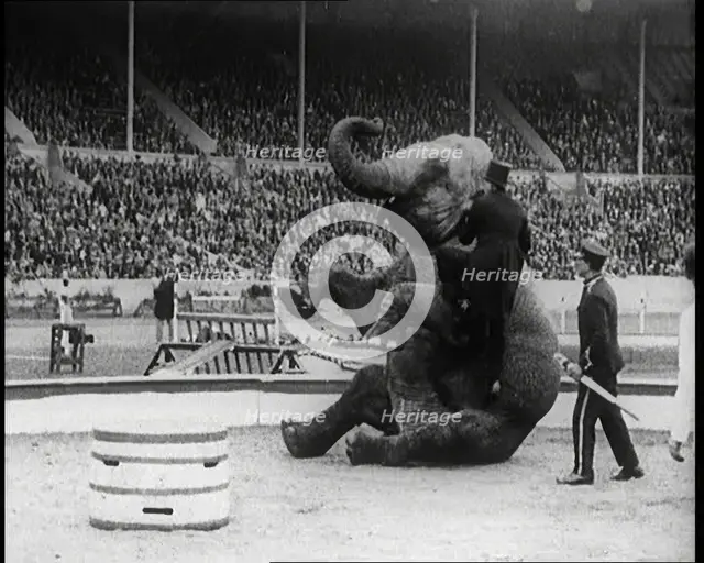 An Elephant Sitting on its Hind Legs as a Man Climbs up It, 1924. Creator: British Pathe Ltd.