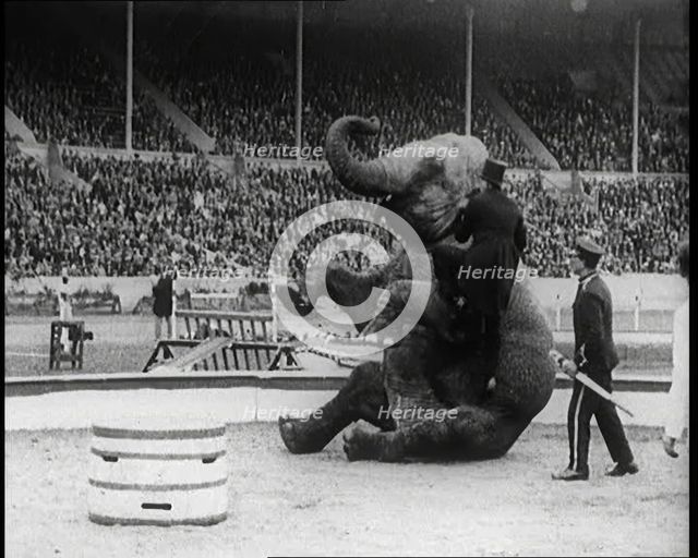 An Elephant Sitting on its Hind Legs as a Man Climbs up It, 1924. Creator: British Pathe Ltd.