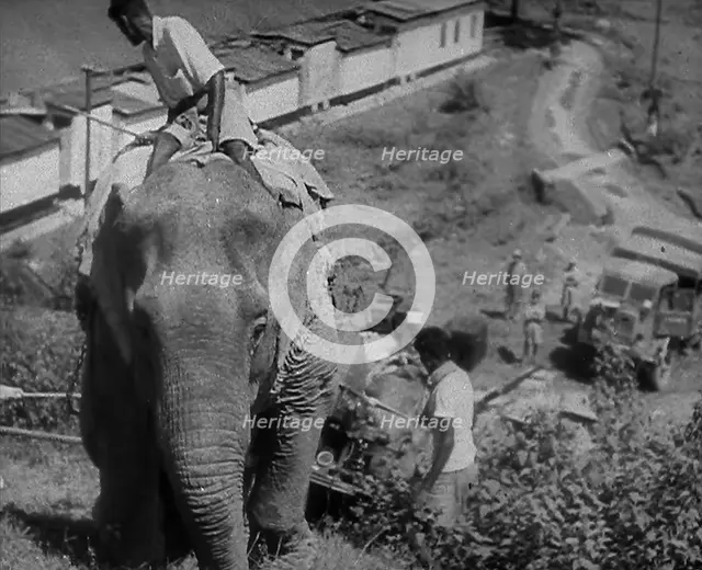 An Elephant Pulling Supplies in Burma, 1943. Creator: British Pathe Ltd.