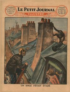 An escaped chimpanzee, 1930. Creator: Unknown