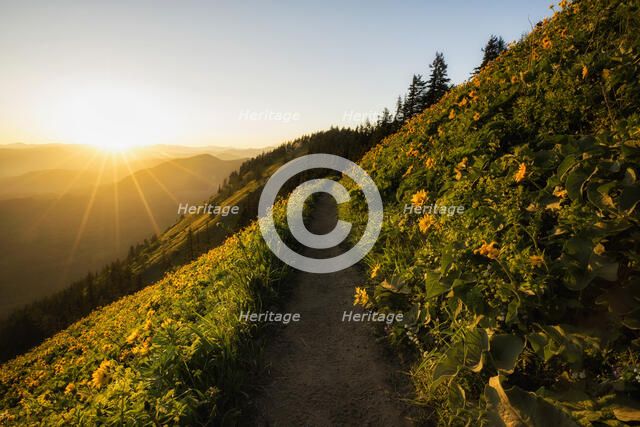 An Evening Walk. Creator: Joshua Johnston.