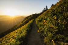 An Evening Walk. Creator: Joshua Johnston