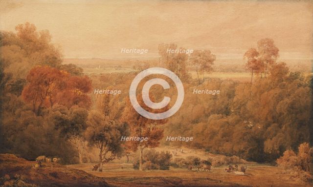An Extensive Wooded Landscape With Cattle In The Foreground, early 19th century. Creator: Amelia Long.