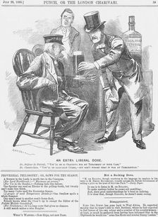 An Extra Liberal Dose 1885. Creator: Unknown