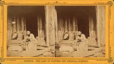 An Hour's search; or, Aunt Venue hunting for Florida fleas, c1850-c1930. Creator: Unknown