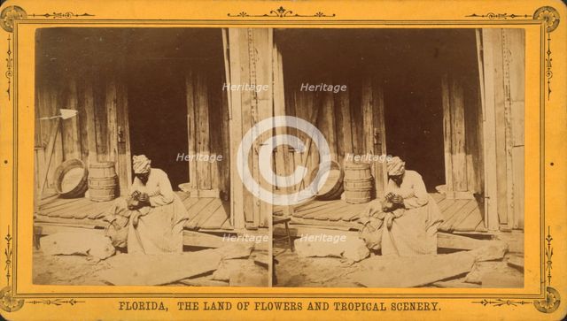 An Hour's search; or, Aunt Venue hunting for Florida fleas, c1850-c1930. Creator: Unknown.