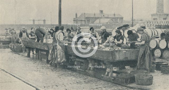 'An Important Part of the Industry. Scottish girls busy gutting at Yarmouth', 1937. Artist: Unknown.