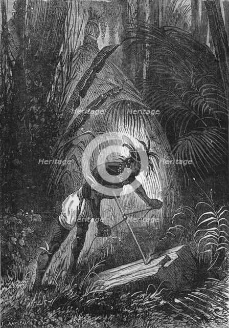An Indian obtaining fire by friction, 1894. Artist: Unknown.