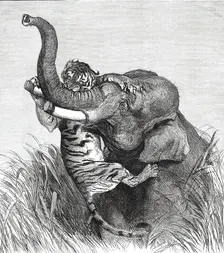 An Indian Hunting Trophy, 1876. Creator: Unknown