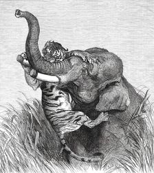 An Indian Hunting Trophy, 1876. Creator: Unknown