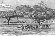 'An Indian Prince at Home; The Palace and Grounds of the Maharajah of Dharbhanga, K.C.I.E.,In the P Creator: Unknown