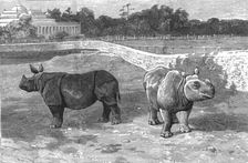 'An Indian Prince at Home; The Palace and Grounds of the Maharajah of Dharbhanga, K.C.I.E.,In the P Creator: Unknown