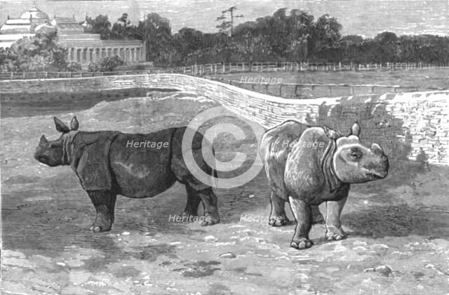 ''An Indian Prince at Home; The Palace and Grounds of the Maharajah of Dharbhanga, K.C.I.E.,In the P Creator: Unknown.