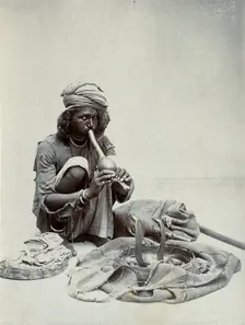An Indian snake charmer squatting down playing his pipe, with two cobras in a basket in..., c1900. Creator: Unknown