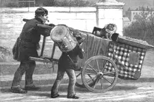 'An Insult to the Profession; The renewal of the Muzzling Order--Dog Toby Muzzled 1890. Creator: Unknown