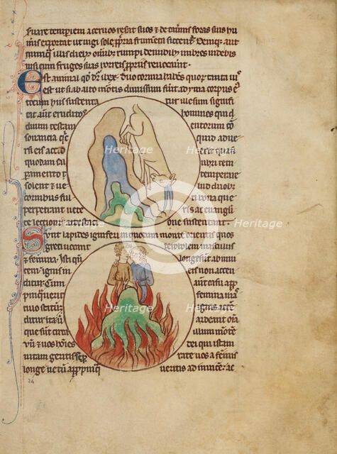 An Ibex; Fire Stones; Northumberland Bestiary, about 1250-1260. Creator: Unknown.