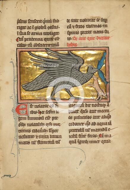 An Ibis with Two Fish in its Beak; De Natura Avium; De Pastoribus et Ovibus, 1277 or after. Creator: Unknown.
