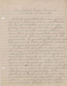 An Ideal Negro Home in Chatham County, 1940s. Creator: Melinda O. Smith