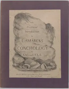An Illustrated Introduction to Lamarck's Conchology; Contained in His Histoire Naturelle d..., 1827. Creator: Edmund A. Crouch