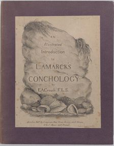 An Illustrated Introduction to Lamarck's Conchology; Contained in His Histoire Naturelle d..., 1827. Creator: Edmund A. Crouch