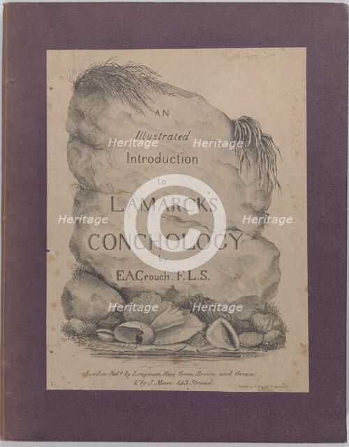 An Illustrated Introduction to Lamarck's Conchology; Contained in His Histoire Naturelle d..., 1827. Creator: Edmund A. Crouch.