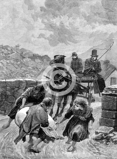 An Irish obstructionist: a sketch on the road, Connemara, 1880. Creator: Unknown.