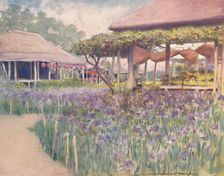 An Iris Garden 1903. Artist: Mortimer L Menpes