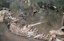 An Iron Age woman's grave from Denmark, 3rd century BC