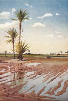 An Irrigated Field c1880, (1904). Artist: Robert George Talbot Kelly