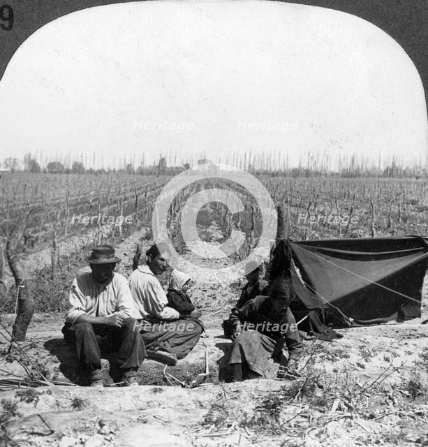 An Italian settler and his family, Mendoza, Argentina, 1900s. Artist: Unknown