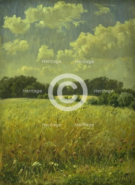 An oat field, 1865-1925. Creator: Hans Michael Therkildsen.