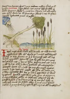 An Oak Tree Up-Rooted by Strong Winds; Fables, third quarter of 15th century. Creator: Unknown