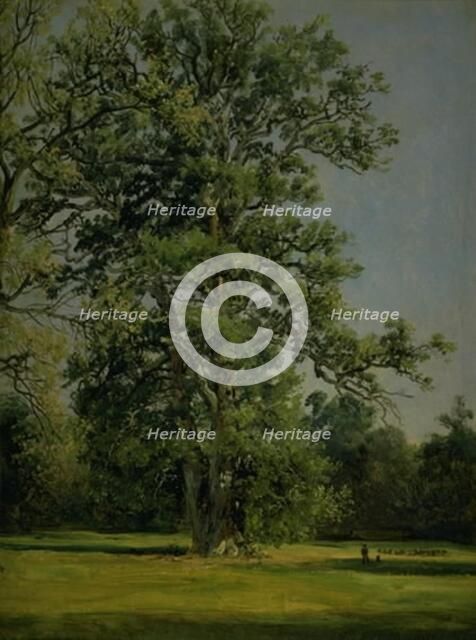 An Oak. View of the Garden at Wörlitz near Dessau, 1838. Creator: Johan Christian Dahl.