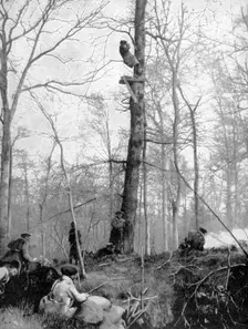 An observation point, 1915