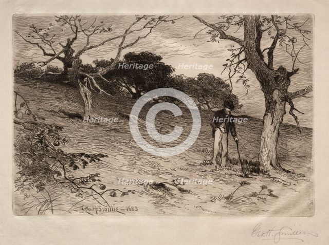 An Old New England Orchard, 1883. Creator: George Henry Smillie (American, 1840-1921).