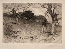 An Old New England Orchard, 1883. Creator: George Henry Smillie (American, 1840-1921)