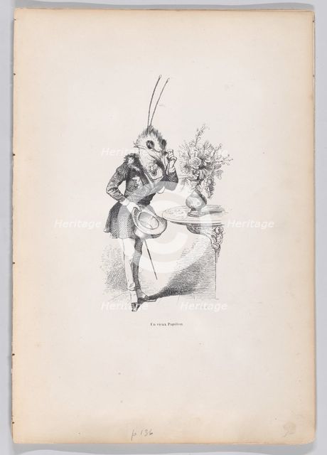 An Old Butterfly from Scenes from the Private and Public Life of Animals, ca. 1837-47. Creator: Jean Ignace Isidore Gerard.