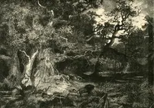 An Old German Forest 1890. Creator: Unknown