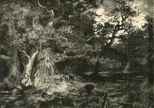 An Old German Forest 1890. Creator: Unknown