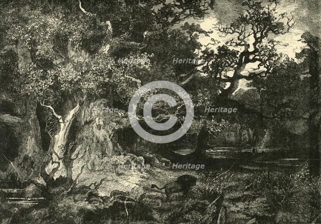 'An Old German Forest', 1890.   Creator: Unknown.