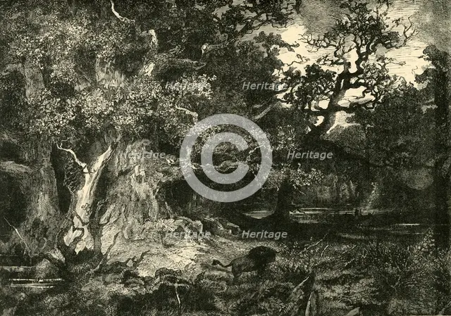'An Old German Forest', 1890.   Creator: Unknown.