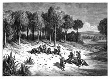 An orange grove in the south of Spain, c1890